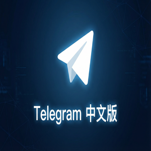 Telegram 中文版连接速度慢怎么优化？网络设置技巧（速成版） - Telegram 官网